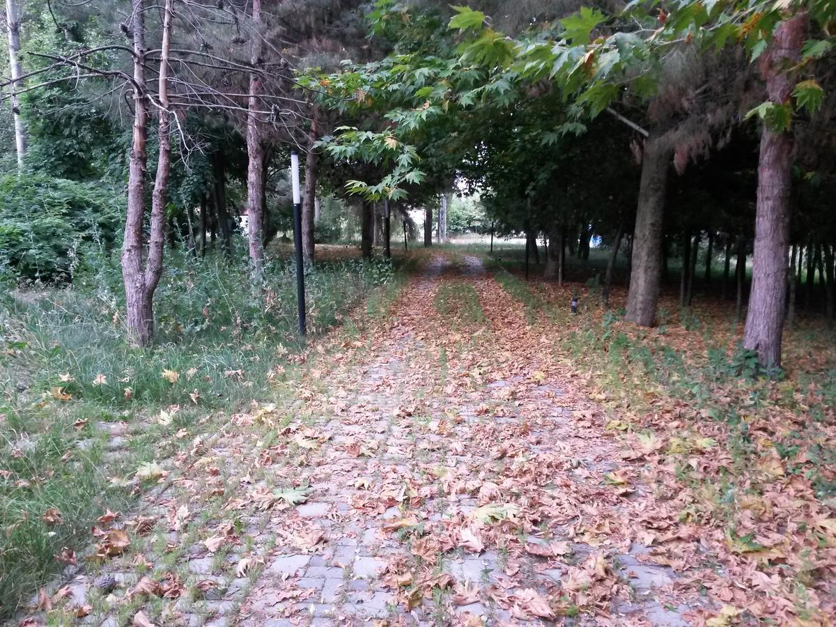 Sheki Olimpiya Hotel & Resort Экстерьер фото