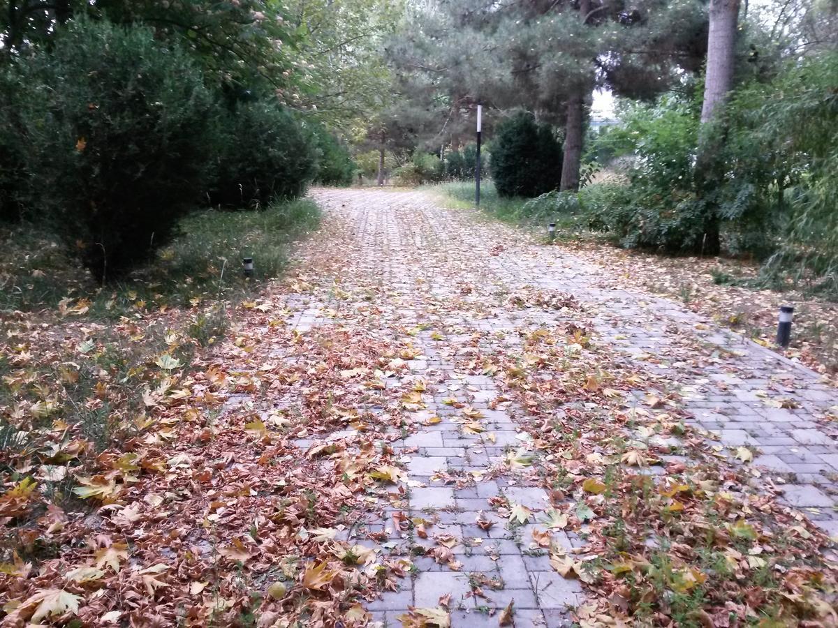 Sheki Olimpiya Hotel & Resort Экстерьер фото