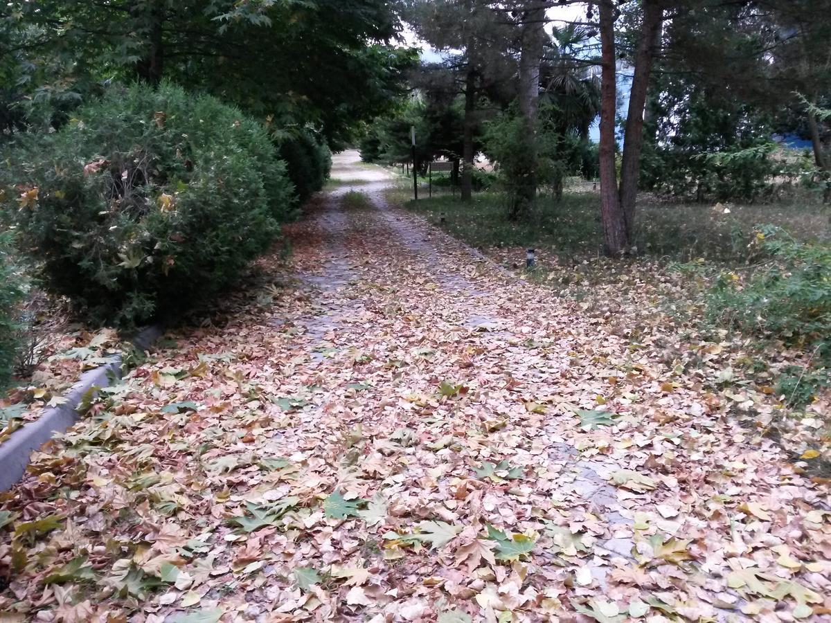 Sheki Olimpiya Hotel & Resort Экстерьер фото