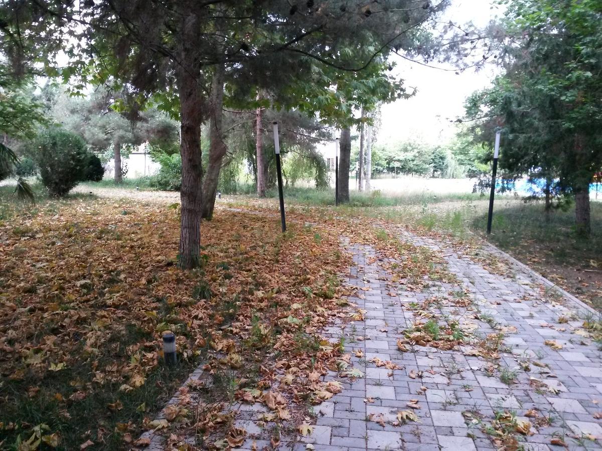 Sheki Olimpiya Hotel & Resort Экстерьер фото