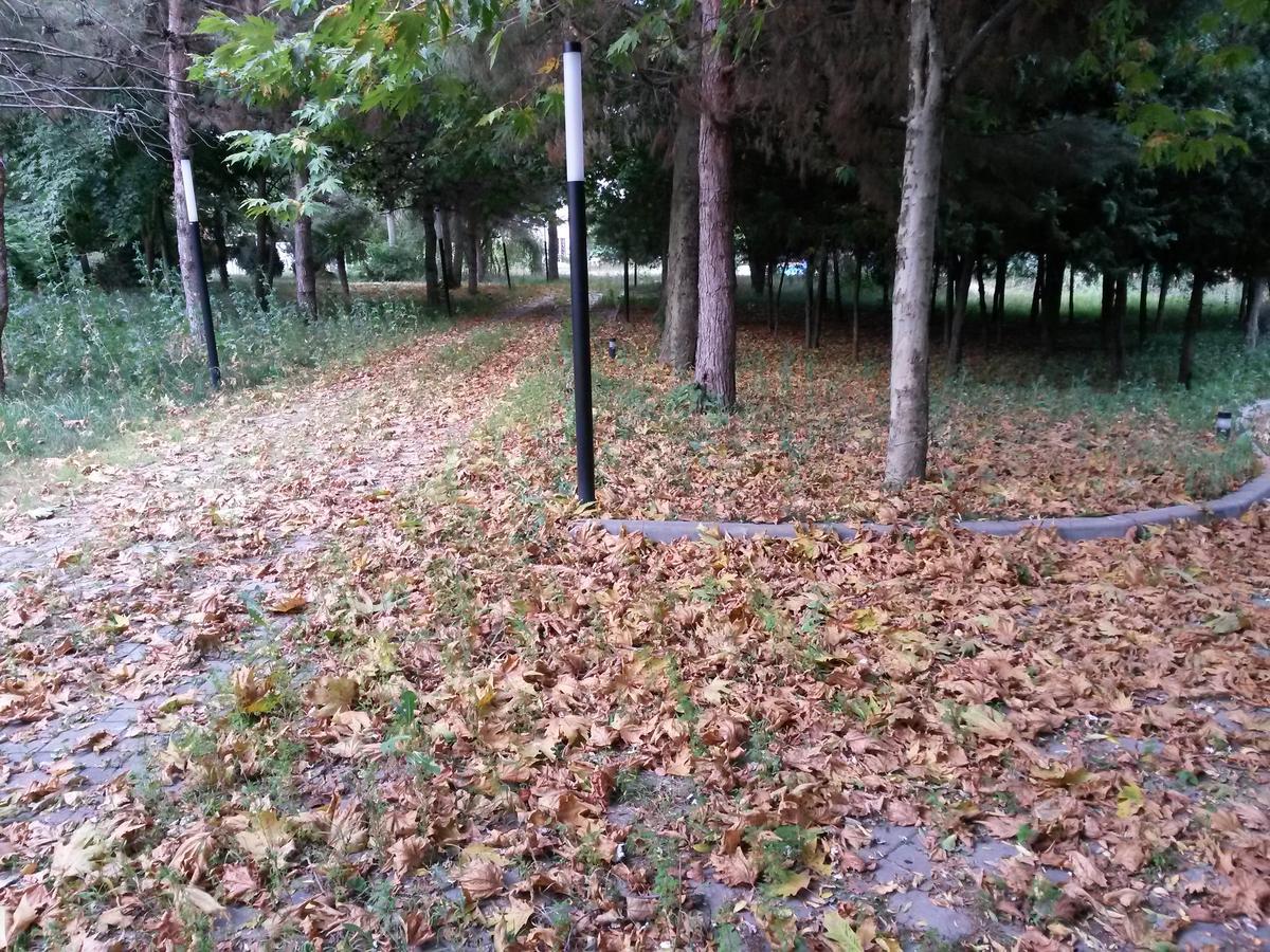 Sheki Olimpiya Hotel & Resort Экстерьер фото