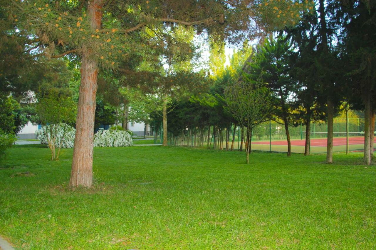 Sheki Olimpiya Hotel & Resort Экстерьер фото
