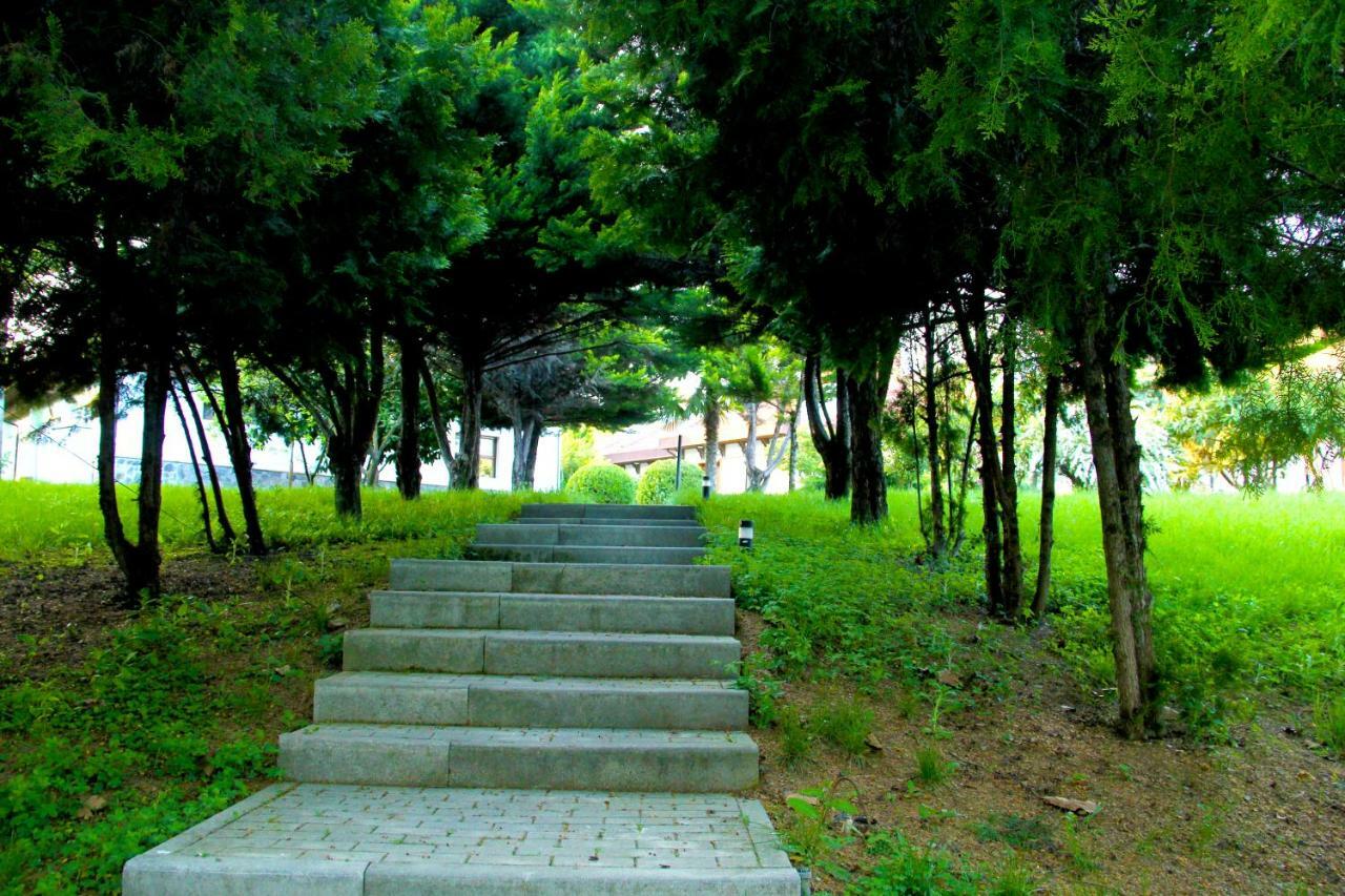 Sheki Olimpiya Hotel & Resort Экстерьер фото